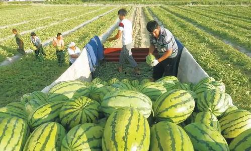 娱乐吃瓜场地图片